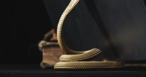 Featured image for Python Print Bags 10 Stunning Styles to Slay in 2025