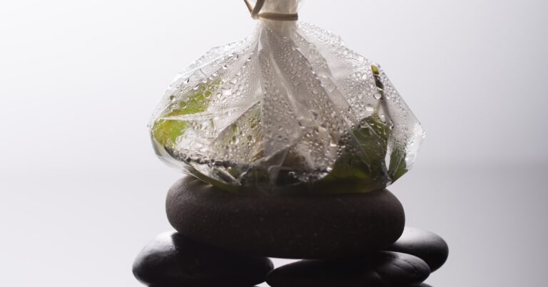 Featured image for 7 Biodegradable Bag Materials You Need to Know in 2026